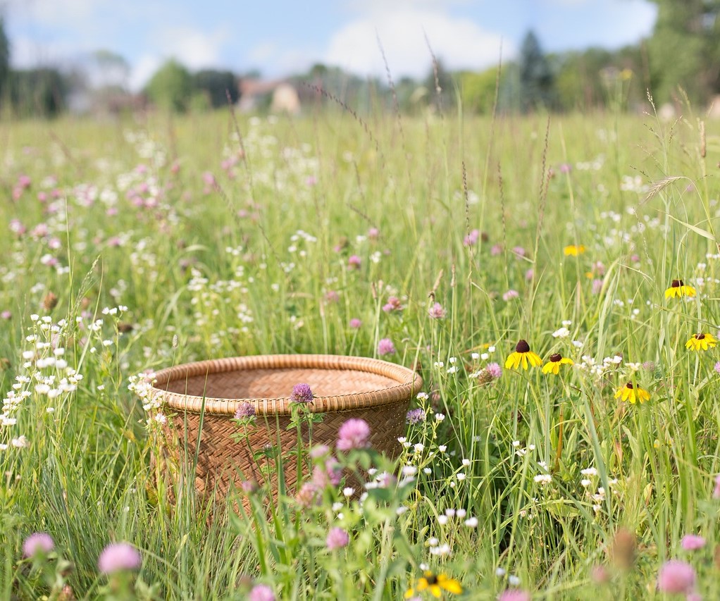 Korb im Feld
